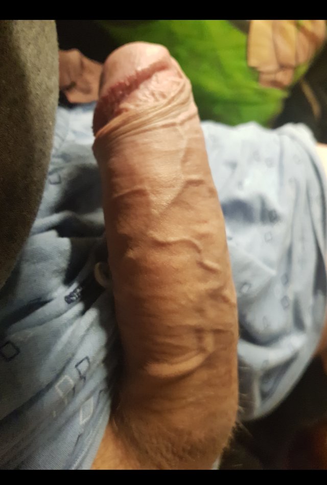 vipluk
