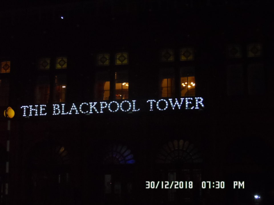 SAM_1775.JPG - ika13