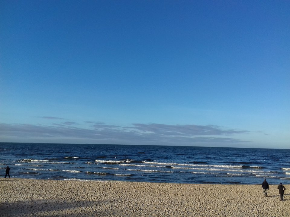 20181226_134602.jpg - torii99