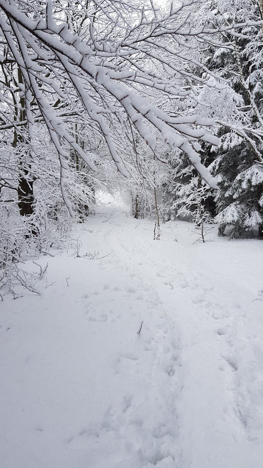 20181230_114856.jpg - CCC76