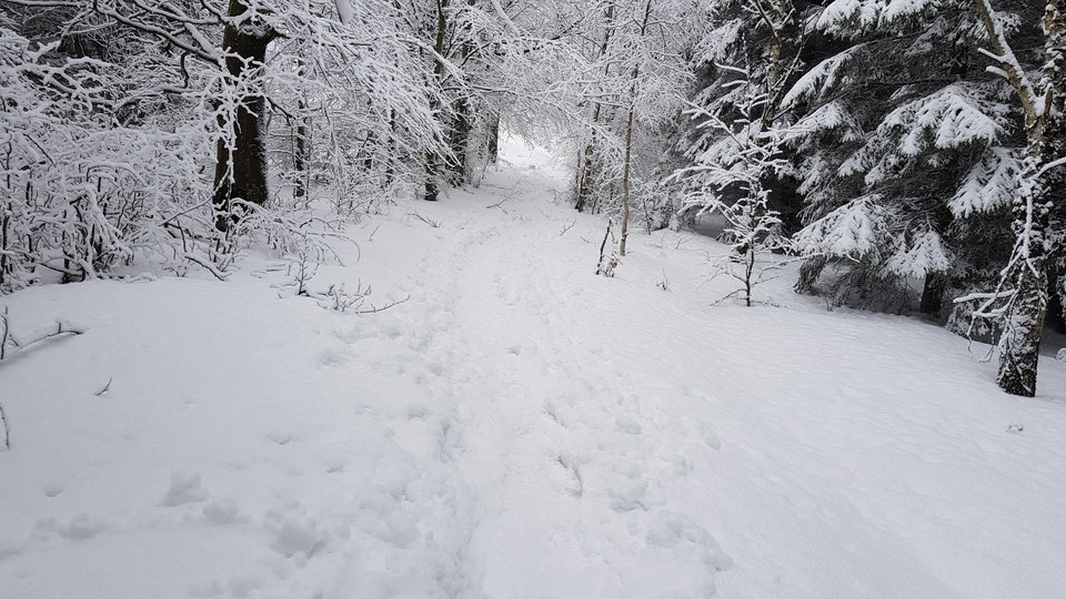 20181230_114903.jpg - CCC76