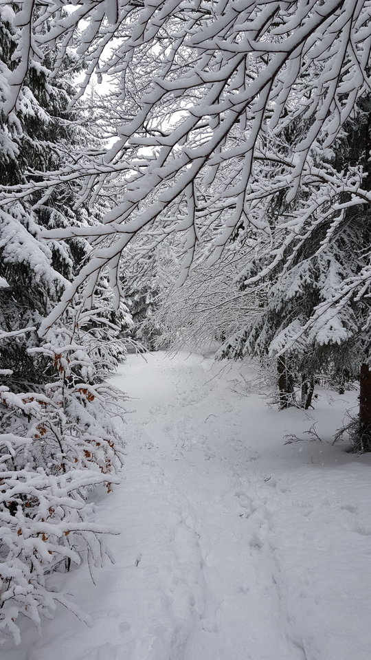 20181230_114900.jpg - CCC76