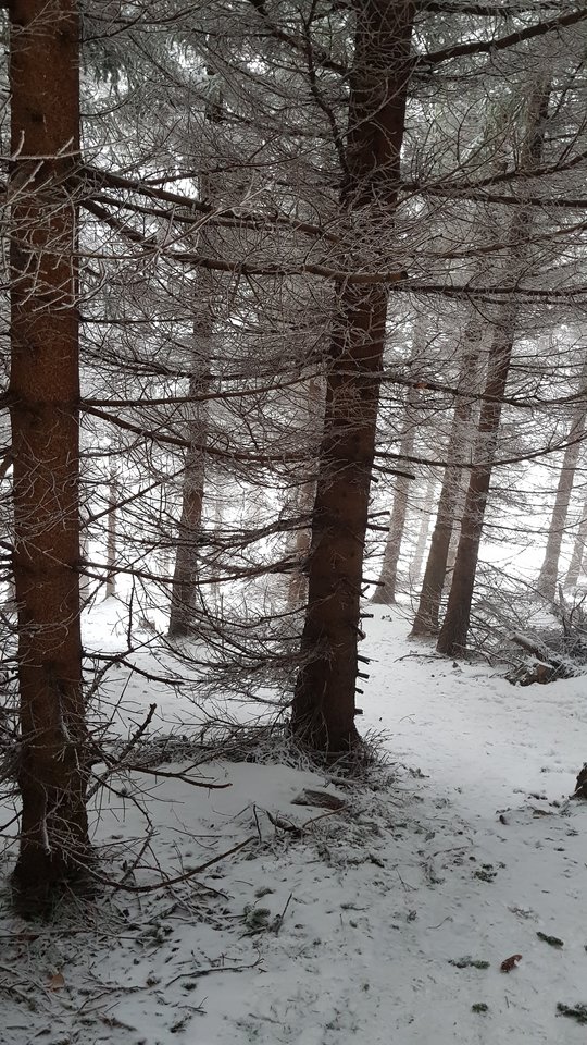 20181230_115702.jpg - CCC76