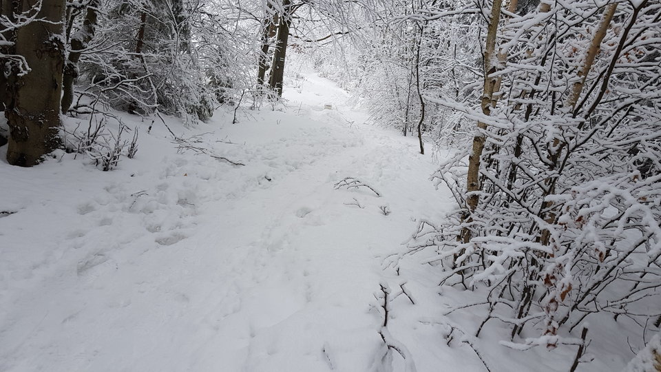 20181230_114920.jpg - CCC76