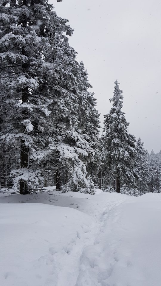 20181230_100435.jpg - CCC76