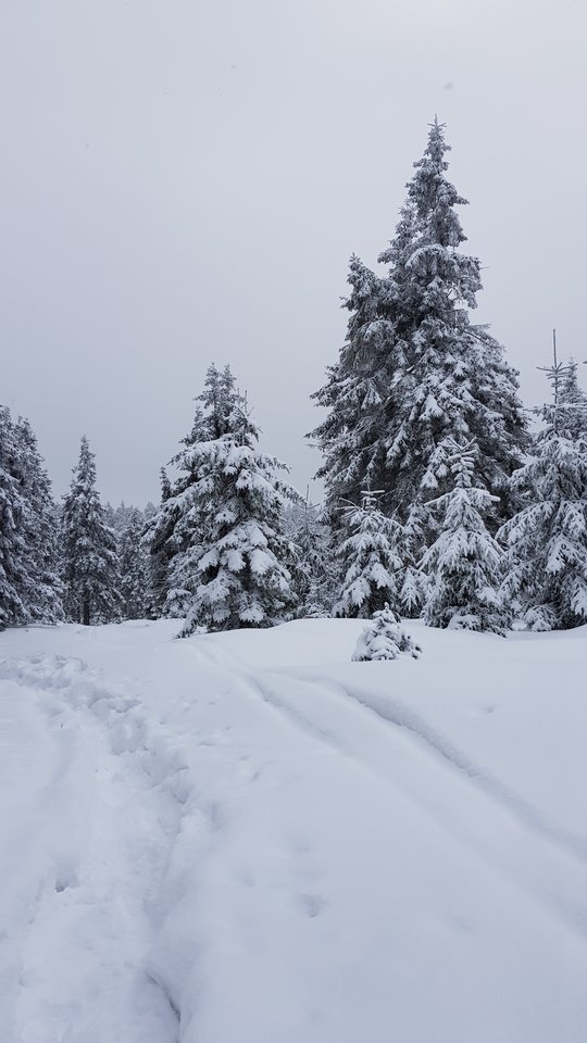 20181230_100400.jpg - CCC76