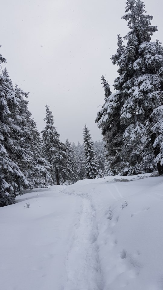 20181230_100425.jpg - CCC76