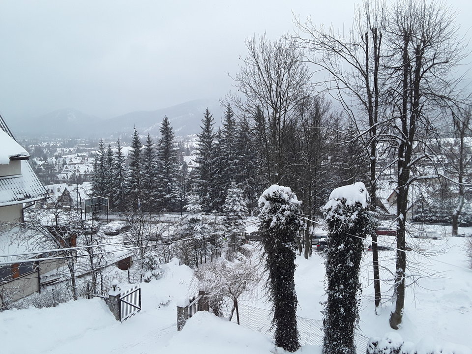 20190102_112914.jpg - DzidziaOn