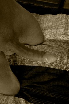 DSC_0012 plastyk.jpg