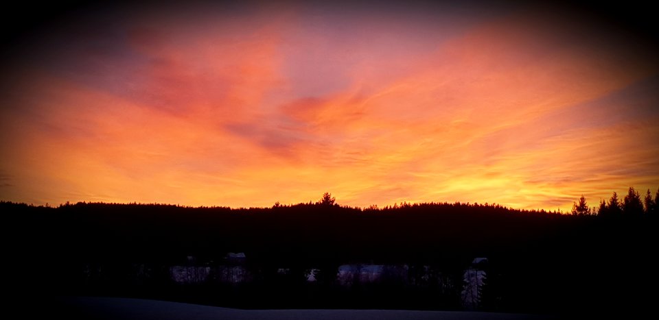 20190103_173003.jpg - oslo7876