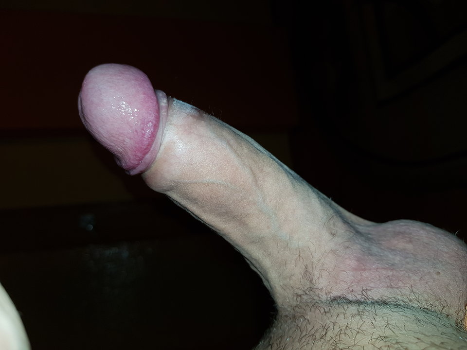 20190103_195512.jpg - albinek