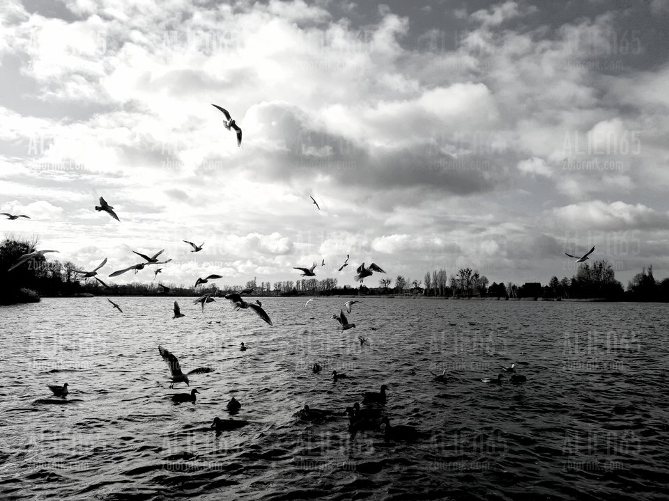 20190104_085226.jpg - Alien65