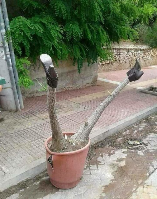 FB_IMG_1565718161547.jpg - gda42