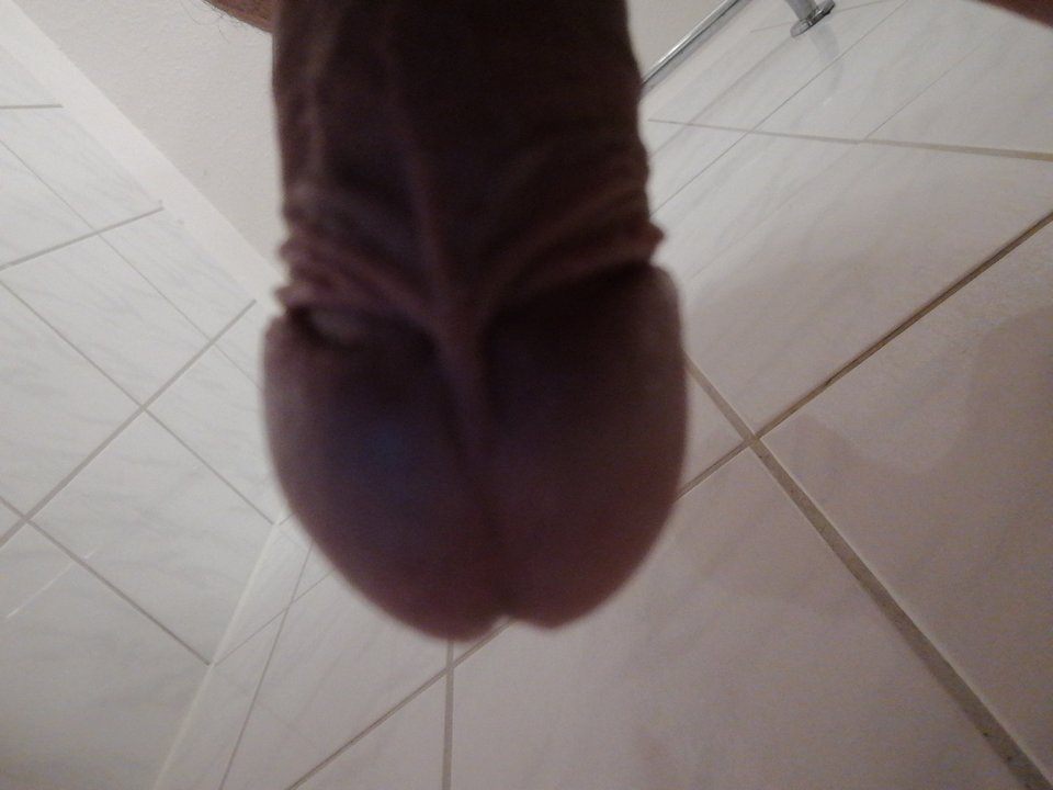 1576404142415623708206711759036.jpg - rafal1410