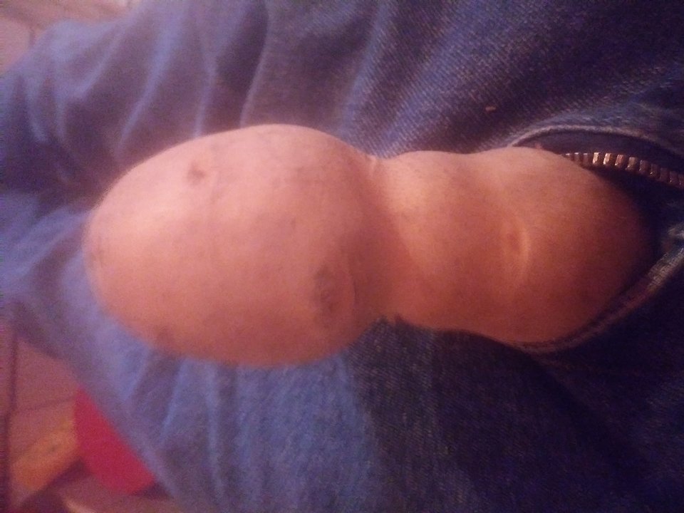 20191215_134013.jpg - PolDic