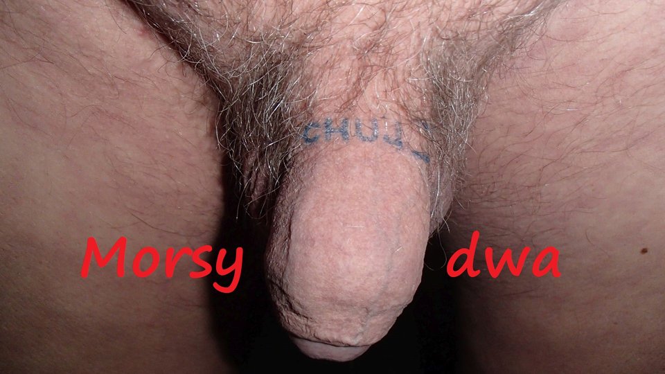 zbiornik 1060 - Morsy_dwa