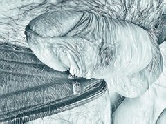 WhatsApp Image 2019-12-20 at 17.58.35.jpeg