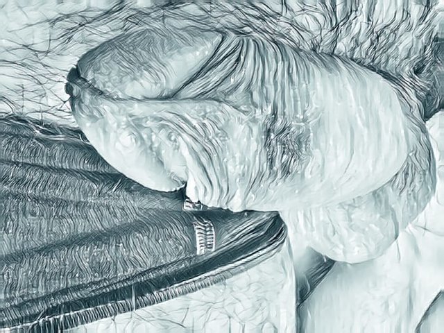 WhatsApp Image 2019-12-20 at 17.58.35.jpeg - WielkiWacek11