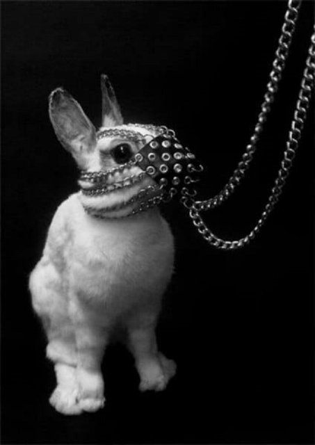 vv.jpg - UleglaFetysh00