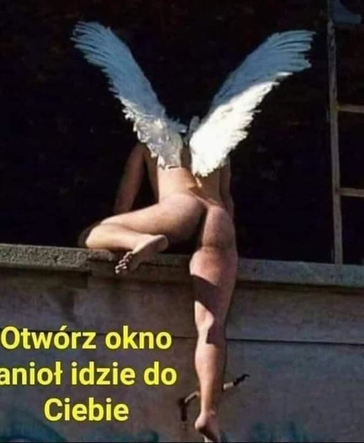 IMG-20191221-WA0000.jpg - bariobrosss