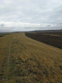 IMG_20191224_104708.jpg