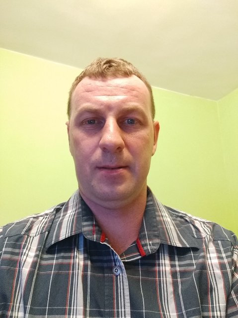 export1577220237639.jpg - holywood
