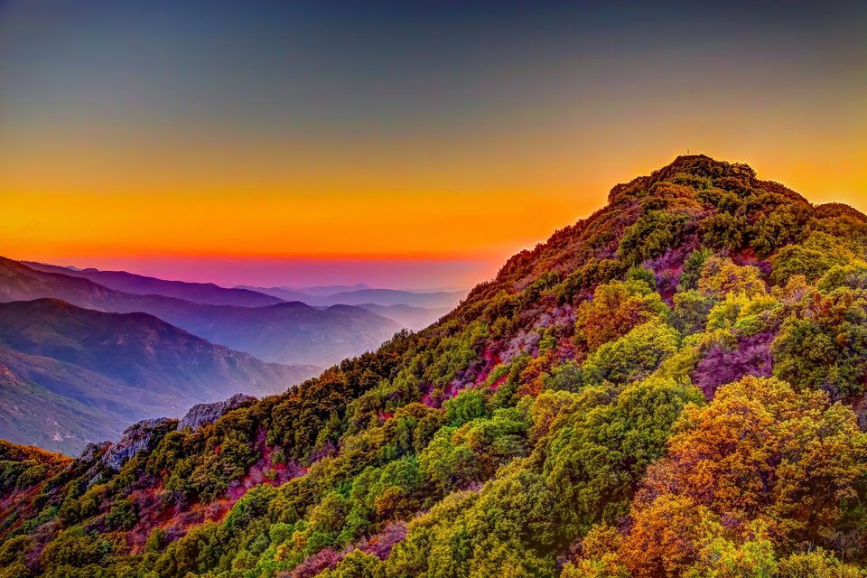 Barwy natury 01.jpg - totensam