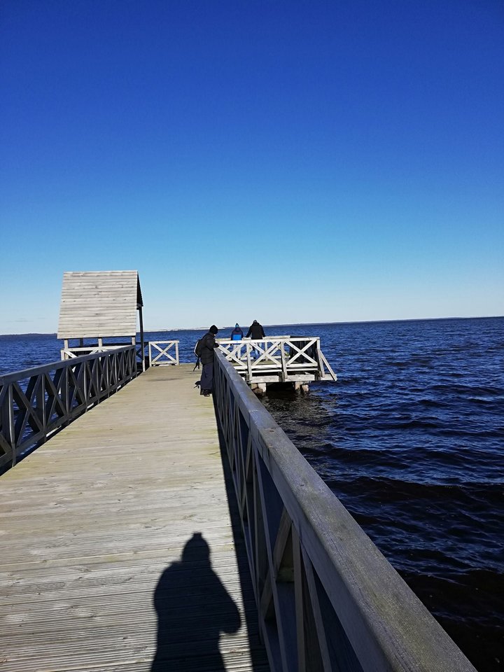 52315706_822895451389951_8108544061780000768_o.jpg - Frelka_ze_wsi