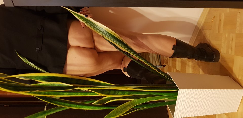 20191229_234832.jpg - ParaCK1976