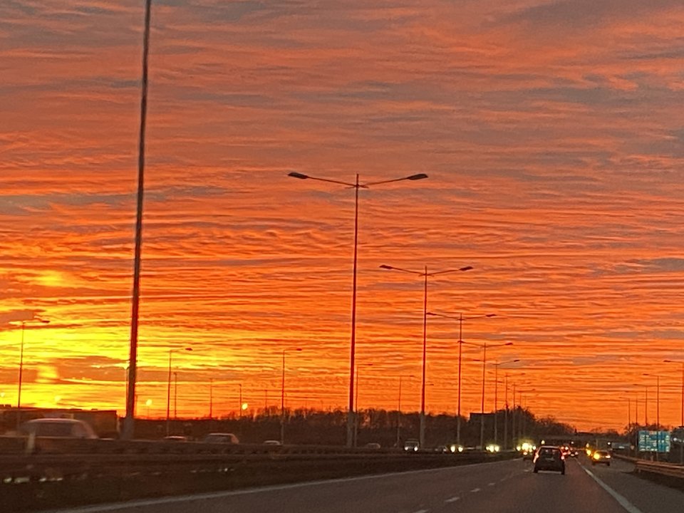 A68CC955-CB1D-4F23-B3BD-FD6E2F1B6A56.jpeg - DM100