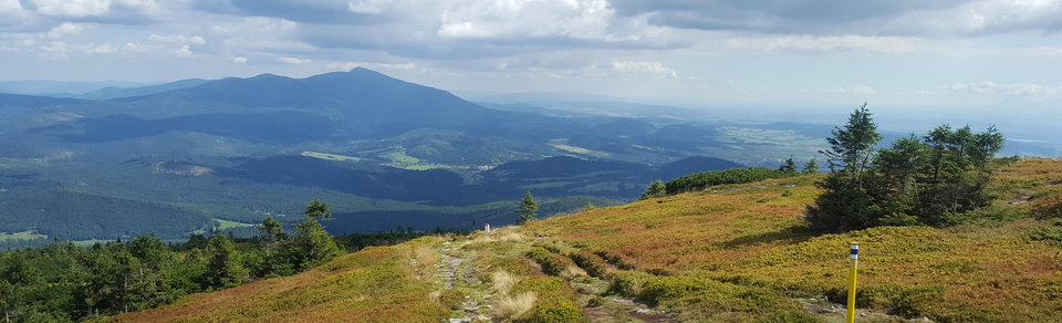 cover_02.jpg - FacetNaPoziomie81