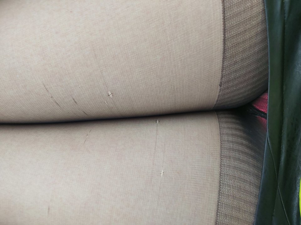 20200106_123625.jpg - PARA3734my