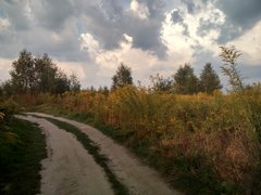 IMG_20191225_202932_934.jpg