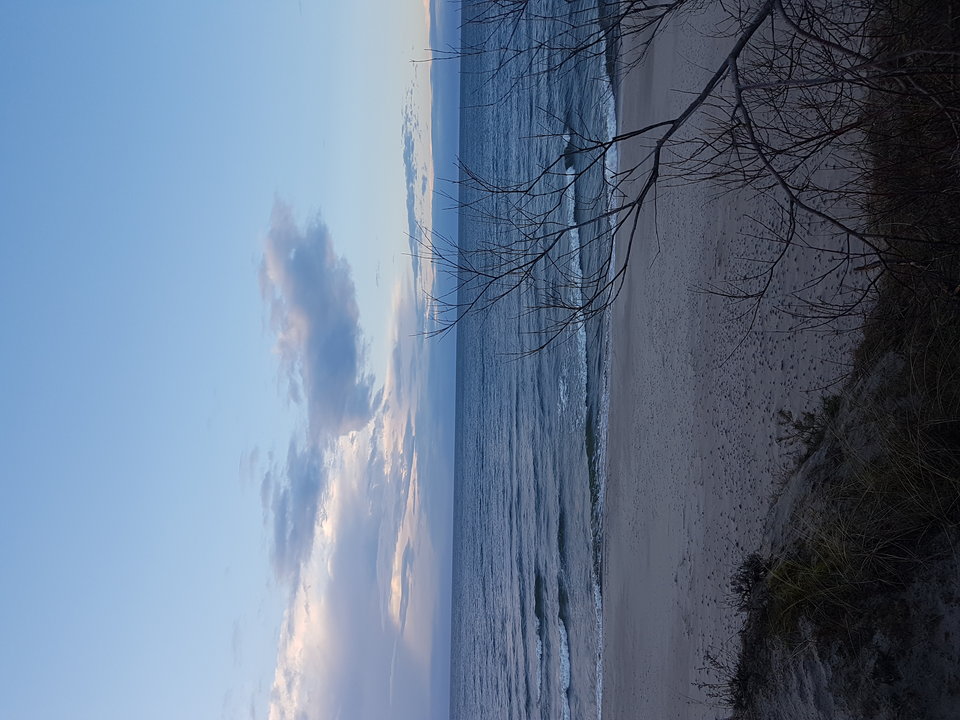 20190304_164823.jpg - kiklog