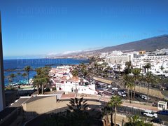 IMG_20191211_113902.jpg