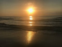 IMG_20200109_130831.jpg