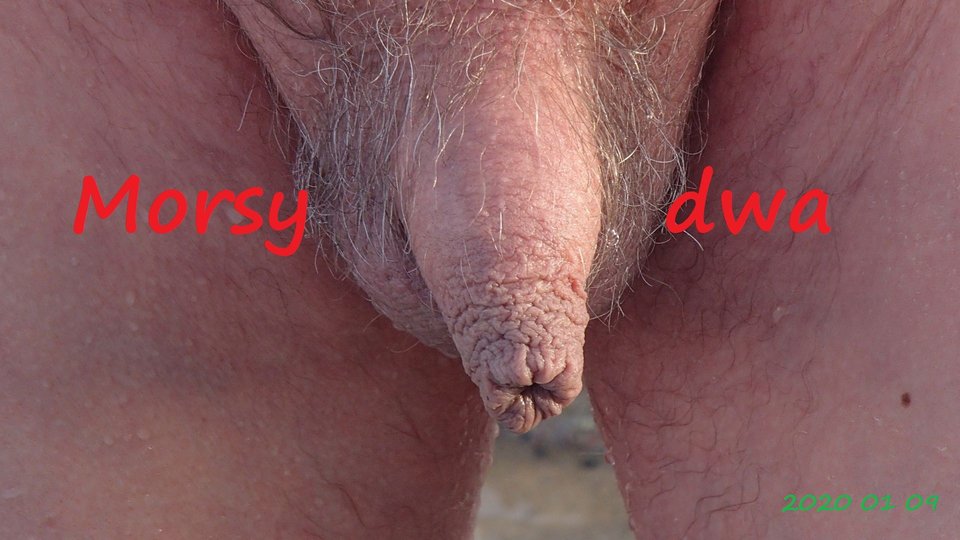 Babie Doły 2020 - Morsy_dwa