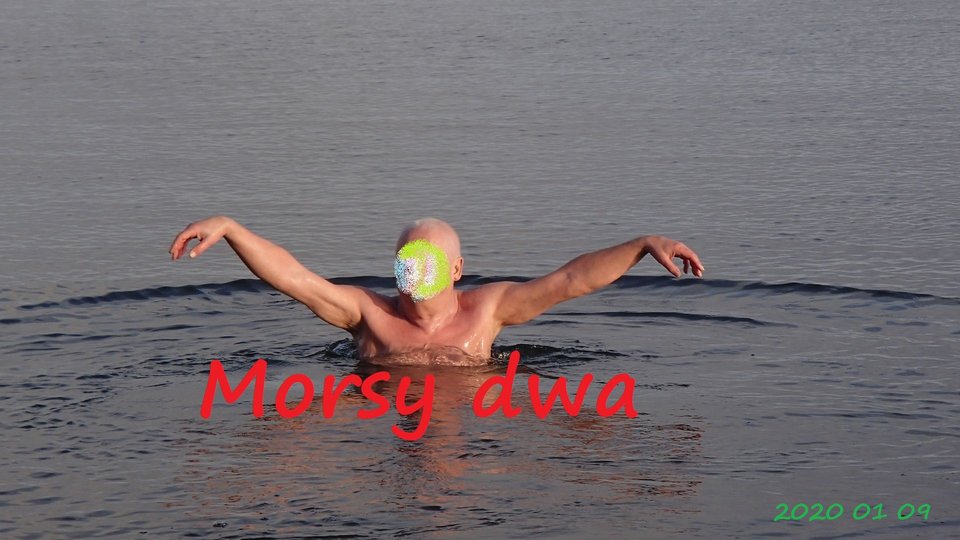 Babie Doły 2020 - Morsy_dwa