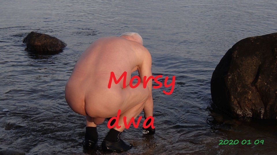 Babie Doły. - Morsy_dwa