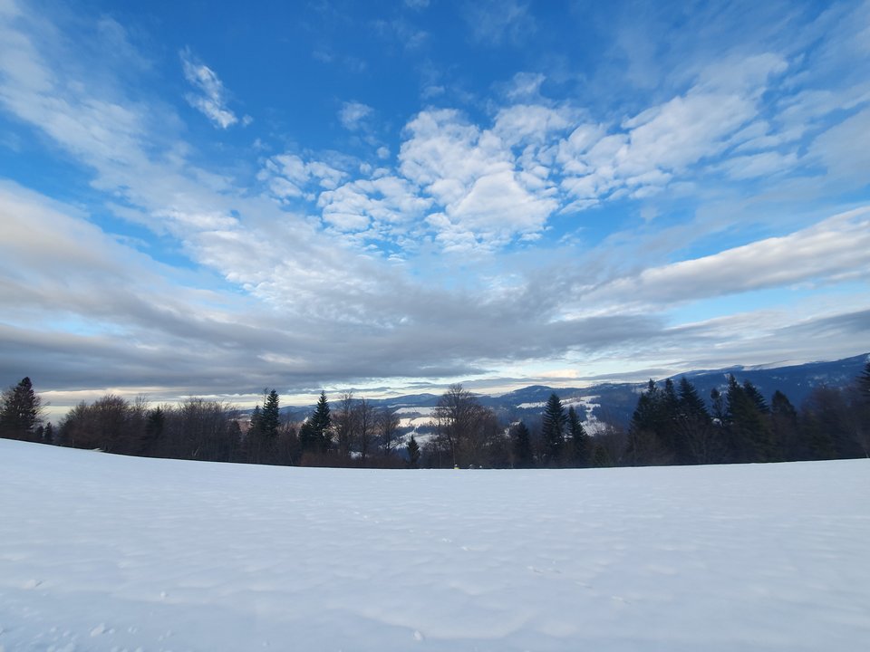 20200110_142035.jpg - Robertobadzio1981