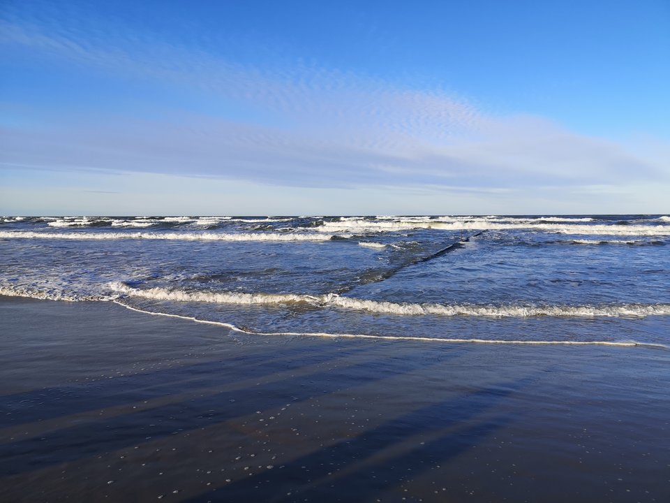 IMG_20200105_131819.jpg - strayk