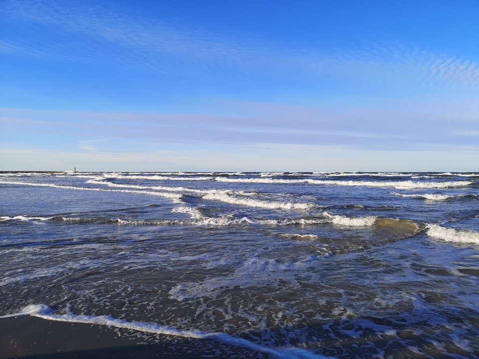 IMG_20200105_131441.jpg - strayk