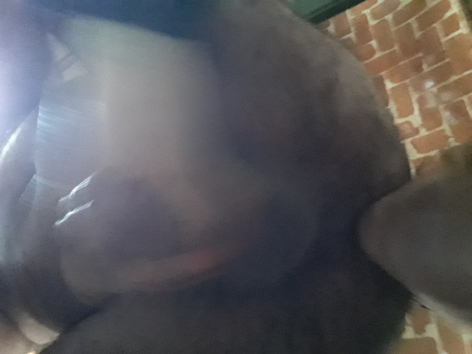 20190516_112723.jpg - laciacrave