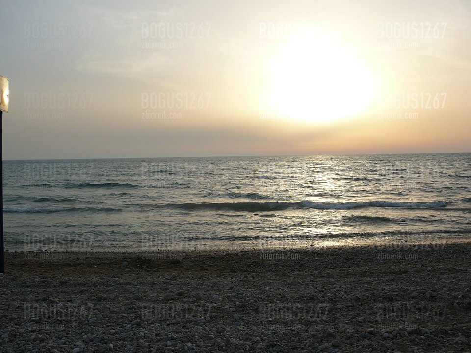 P1000924.jpg - bogus1267