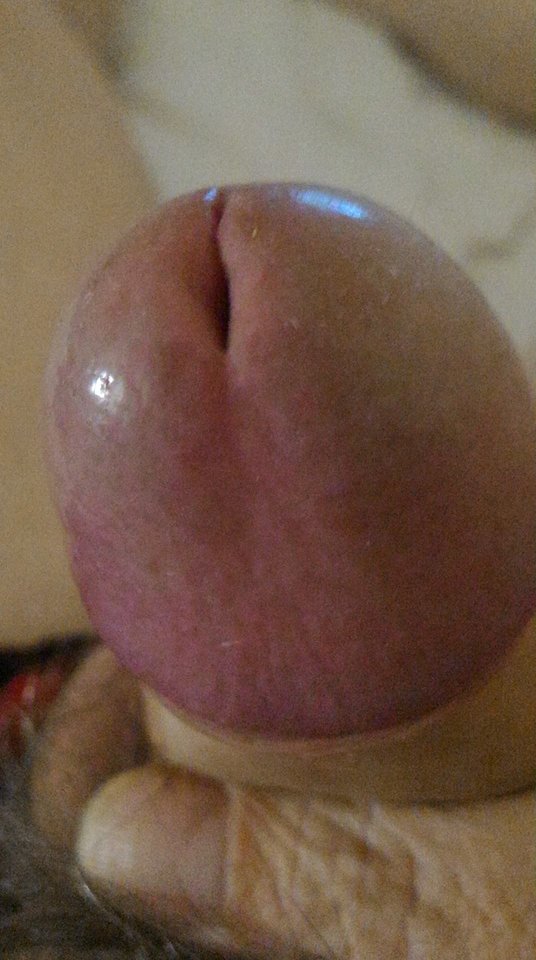 81947444_2643474645730987_2670442160200876032_n.jpg - konrad5258