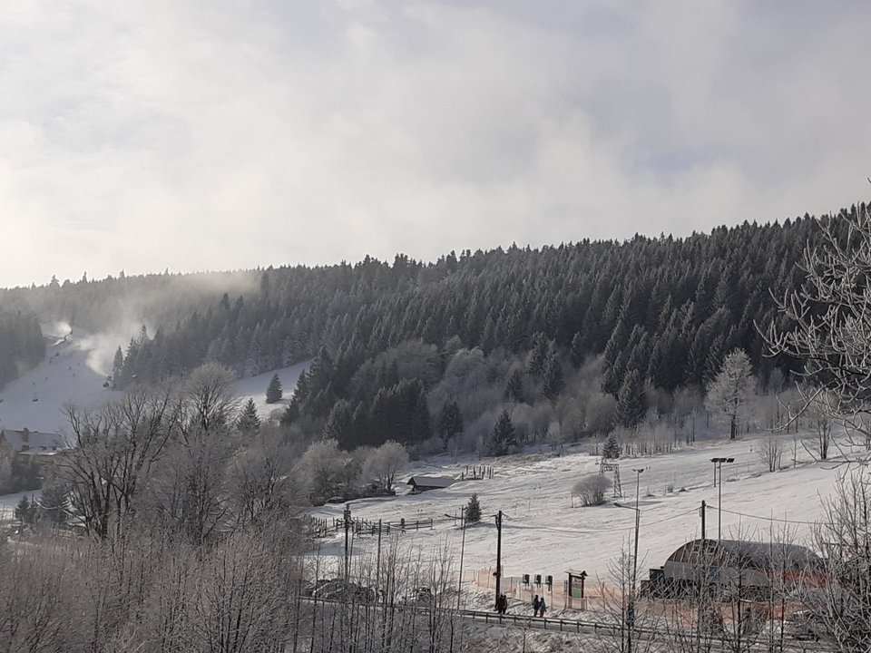 20200114_102208.jpg - Przemodkl79