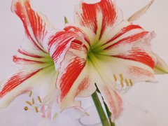 IMG_20200114_155638.jpg