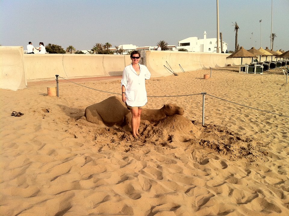 IMG_1117.JPG - kotyramo