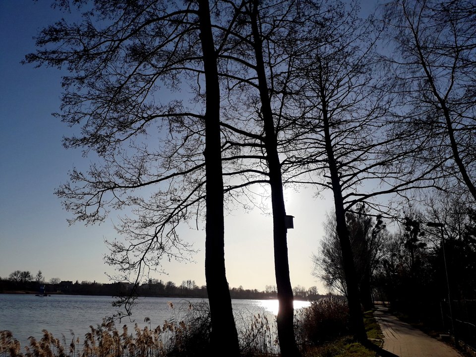 20200116_135811.jpg - Alien65