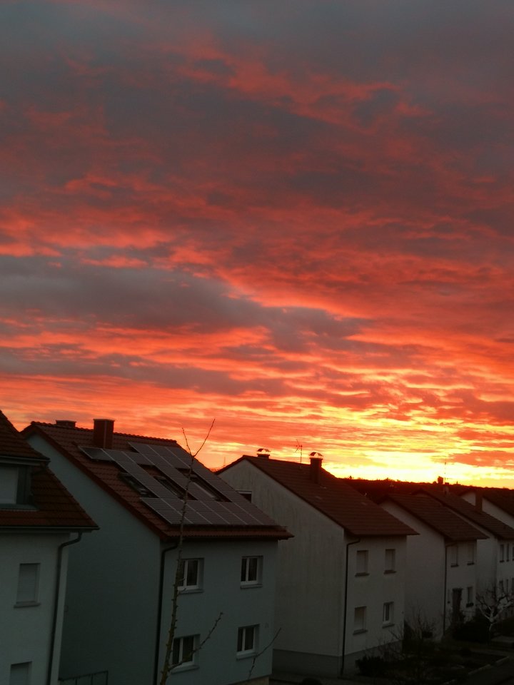 IMG_20200110_081449.jpg - Eurydyka2956